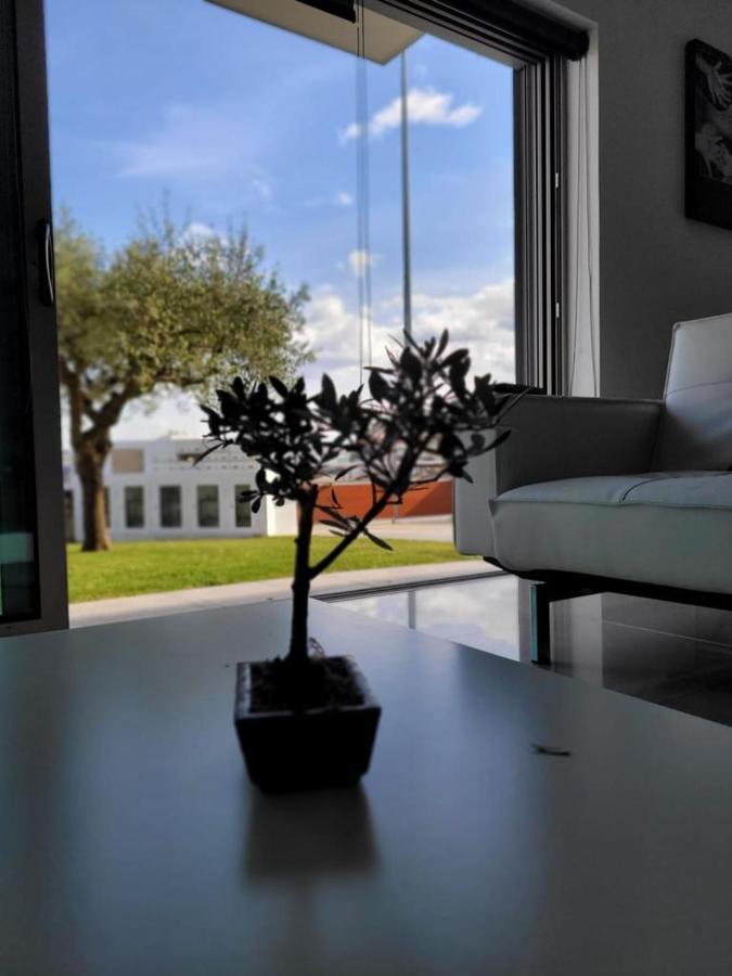 Apartmán Olive Ap. Torreira Exteriér fotografie